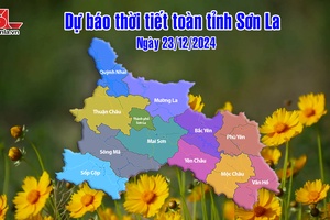 'Dự báo thời tiết toàn tỉnh Sơn La ngày 23/12/2024
