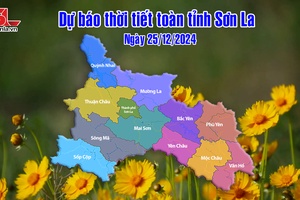 'Dự báo thời tiết toàn tỉnh Sơn La ngày 25/12/2024
