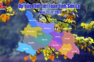 'Dự báo thời tiết toàn tỉnh Sơn La ngày 27/12/2024
