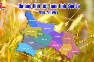 'Dự báo thời tiết toàn tỉnh Sơn La ngày 7/1/2025
