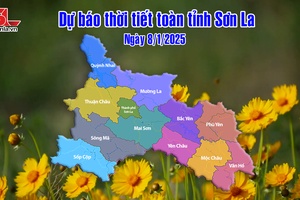 'Dự báo thời tiết toàn tỉnh Sơn La ngày 8/1/2025
