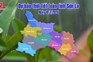 'Dự báo thời tiết toàn tỉnh Sơn La ngày 10/1/2025
