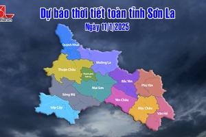 'Dự báo thời tiết toàn tỉnh Sơn La ngày 11/1/2025
