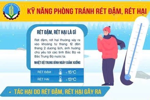 'Đề nghị người dân các tỉnh vùng núi phía Bắc và một số tỉnh Bắc Trung Bộ chủ động ứng phó với không khí lạnh tăng cường và rét
