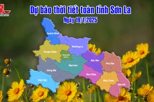 'Dự báo thời tiết toàn tỉnh Sơn La ngày 19/1/2025
