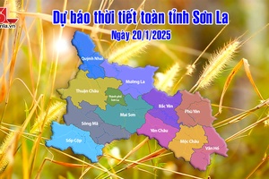 'Dự báo thời tiết toàn tỉnh Sơn La ngày 20/1/2025
