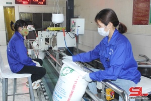 Xây dựng quan hệ lao động hài hòa, ổn định cùng phát triển