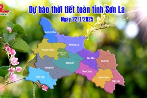 'Dự báo thời tiết toàn tỉnh Sơn La ngày 22/1/2025
