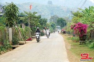 'Hiến đất mở đường, nối mãi những mùa xuân