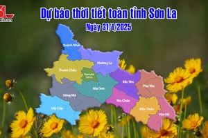 'Dự báo thời tiết toàn tỉnh Sơn La ngày 31/1/2025
