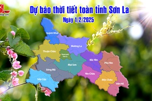 'Dự báo thời tiết toàn tỉnh Sơn La ngày 1/2/2025
