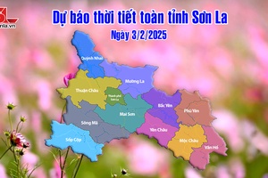 'Dự báo thời tiết toàn tỉnh Sơn La ngày 3/2/2025
