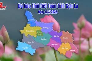 'Dự báo thời tiết toàn tỉnh Sơn La ngày 5/2/2025
