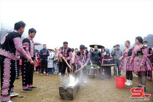 Đặc sắc Ngày hội hoa đào Lóng Luông