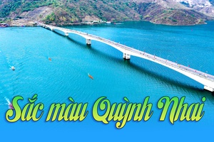 'Sắc màu Quỳnh Nhai