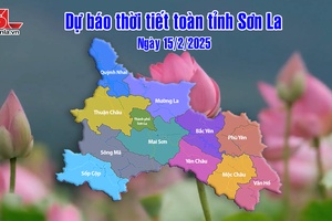 'Dự báo thời tiết toàn tỉnh Sơn La ngày 15/2/2025
