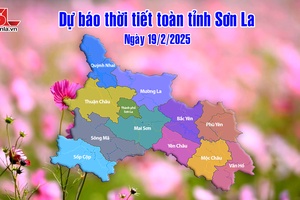 'Dự báo thời tiết toàn tỉnh Sơn La ngày 19/2/2025
