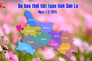 'Dự báo thời tiết toàn tỉnh Sơn La ngày 1/3/2025
