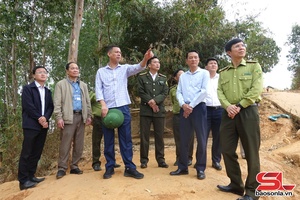 Đồng chí Phó Chủ tịch UBND tỉnh kiểm tra công tác quản lý bảo vệ rừng và PCCCR tại huyện Mai Sơn, Sông Mã