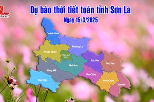 'Dự báo thời tiết toàn tỉnh Sơn La ngày 14/3/2025
