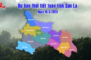 'Dự báo thời tiết toàn tỉnh Sơn La ngày 16/3/2025
