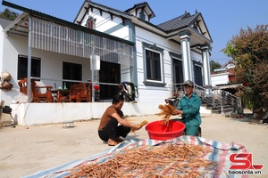 'Về vùng quê có nhiều tỷ phú