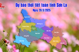 'Dự báo thời tiết toàn tỉnh Sơn La ngày 20/3/2025
