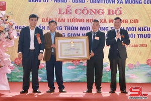 'Bản Tân Tường Hợp đạt chuẩn nông thôn mới, nông thôn mới kiểu mẫu