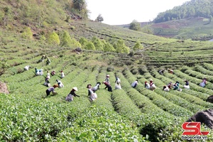Khai thác lợi thế phát triển nông nghiệp bền vững