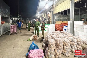 'Thu giữ trên 200kg rau, củ, quả các loại dương tính với chất độc hại tại chợ đêm phường Chiềng Cơi