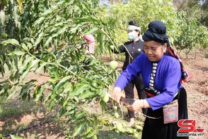 Tự hào nơi Bác Hồ về thăm