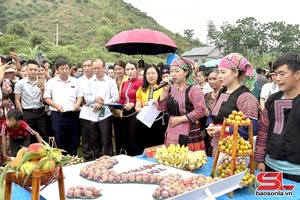 'Đặc sắc gian hàng trưng bày nông sản tại Ngày hội hái mận xã Phiêng Khoài