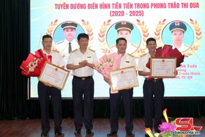 Tuyên dương điển hình tiên tiến Chi cục Thuế khu vực IX