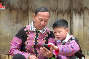Phong trào bình dân học vụ số