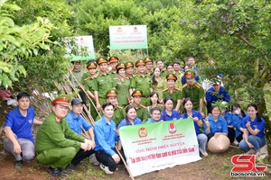 'Chương trình thiện nguyện “Tái sinh rừng vì một Việt Nam xanh và phát triển bền vững”