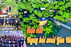 'Đặc sắc Ngày hội xoài Yên Châu