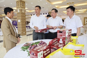 'Sơn La công nhận 7 sản phẩm đạt tiêu chuẩn OCOP 4 sao