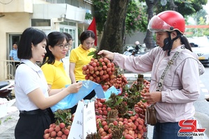 'Hỗ trợ tiêu thụ 1,5 tấn vải thiều Bắc Giang