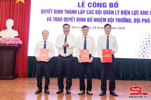 'Thành lập các đội quản lý điện lực khu vực theo mô hình tổ chức mới