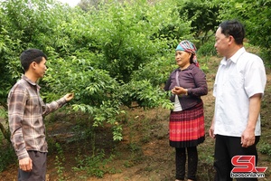 'Phát triển kinh tế vùng khó khăn