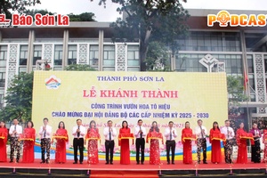 Bản tin Podcast ngày 28/6/2025