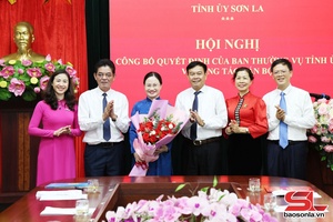 'Hội nghị công bố quyết định của Ban Thường vụ Tỉnh ủy về công tác cán bộ