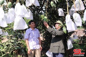'Quan tâm hỗ trợ hợp tác xã phát triển