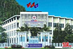 'Thành lập các Đội Quản lý điện lực khu vực trực thuộc Công ty Điện lực Sơn La