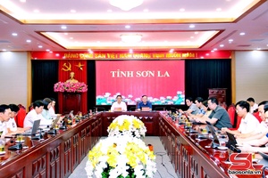 Hội nghị trực tuyến Thủ tướng Chính phủ với các địa phương