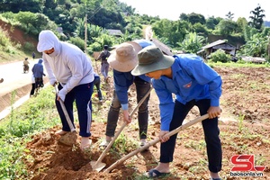 'Ra quân trồng cây, chỉnh trang khu dân cư nông thôn