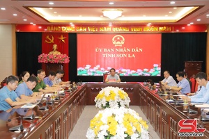 Chủ động ứng phó với bão số 3