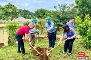 'Phiêng Cằm ra quân trồng cây phân tán