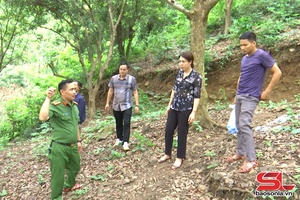 'Mưa, dông gây ra gây thiệt hại tại một số địa phương