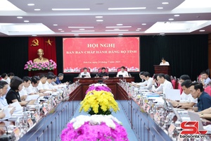'Hội nghị Ban Chấp hành Đảng bộ tỉnh